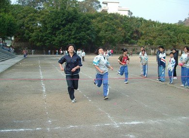 从化市流溪河林场学校图片
