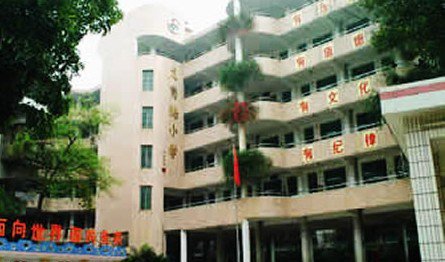 龙岗路小学图片
