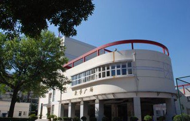 天津市河西区天津小学图片