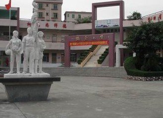 东莞市虎门镇路东小学图片