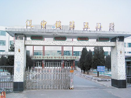 辽中镇第五小学图片