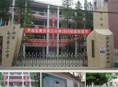 株洲市南方三小图片