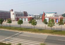 长沙市洞井中学图片