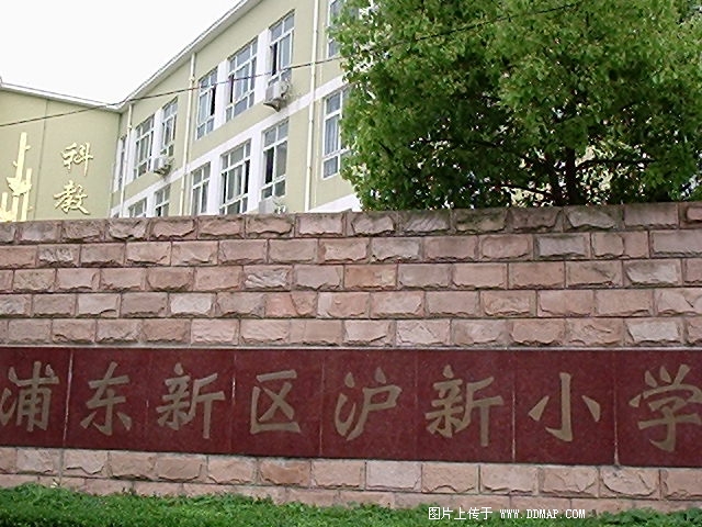 上海市浦东新区沪新小学图片