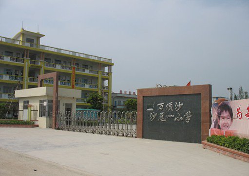 广州市沙尾第二小学(沙尾二小)图片