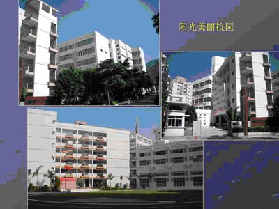 深圳市福田区南开学校图片