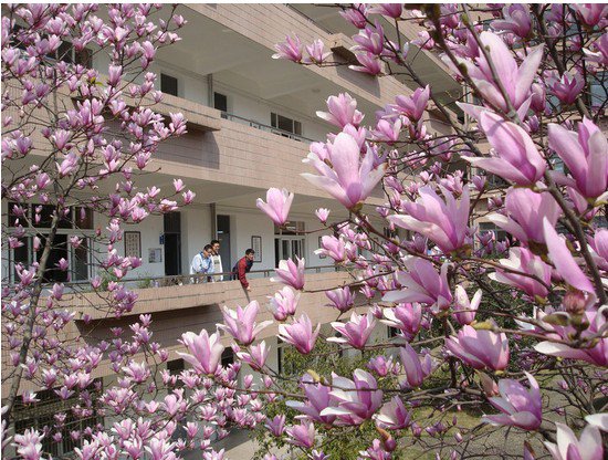 余姚市姚中书院图片