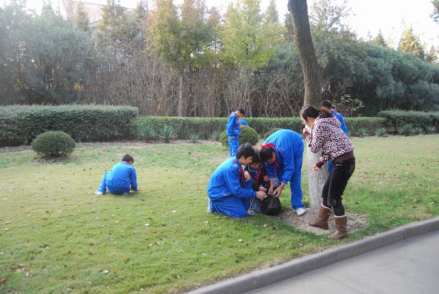 上海市马陆育才联合中学图片