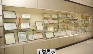 上海市闸北八中|第八中学图片