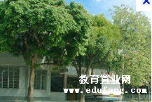 广州市白云区嘉龙小学图片