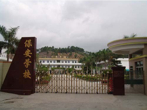 深圳市龙岗区保安小学图片