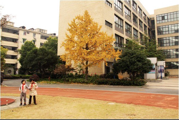 杭州市金都天长小学图片