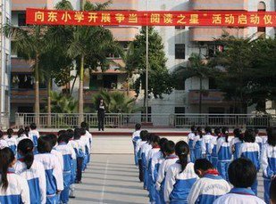 东莞市大岭山向东小学图片