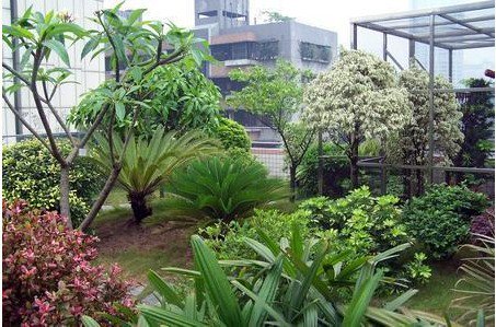 广州市越秀区回民小学图片