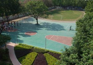 广州市黄埔区长洲岛小学图片