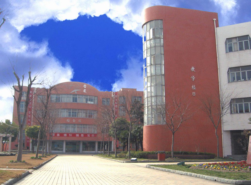 上海市盛桥中学图片