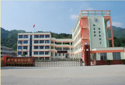 温州市永嘉县桥下镇中心小学图片