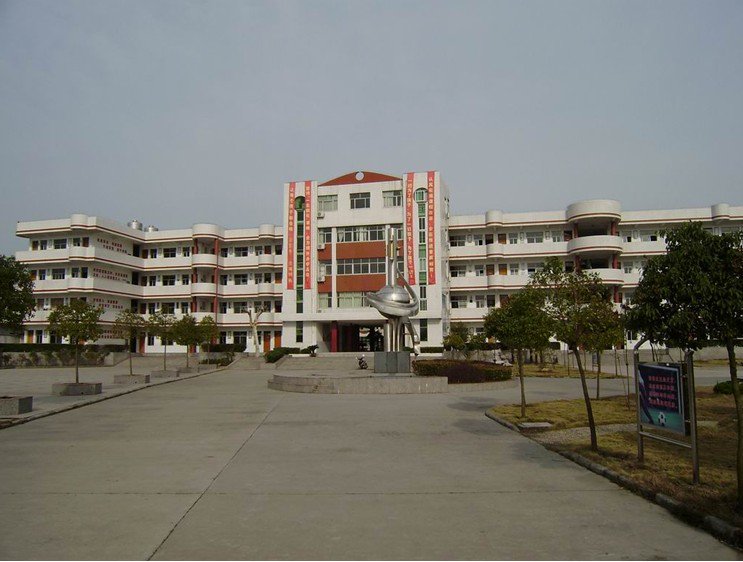 扬州市杭集小学图片