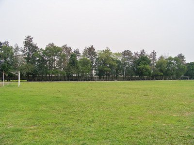 佛山市三水区龙坡中学图片