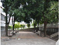 中山市大涌南文小学图片