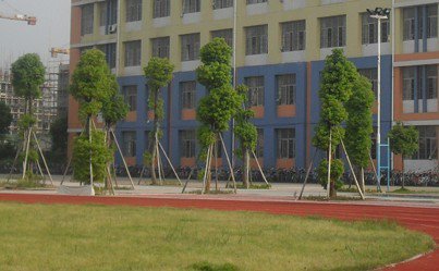 中山市东升镇求实学校（小学）图片