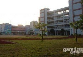 广州市南沙区嘉安小学图片