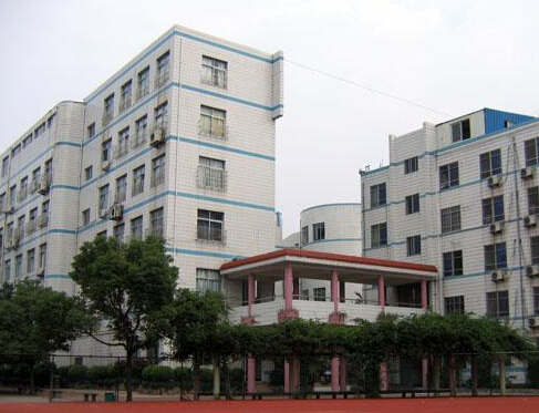 温州新星学校图片