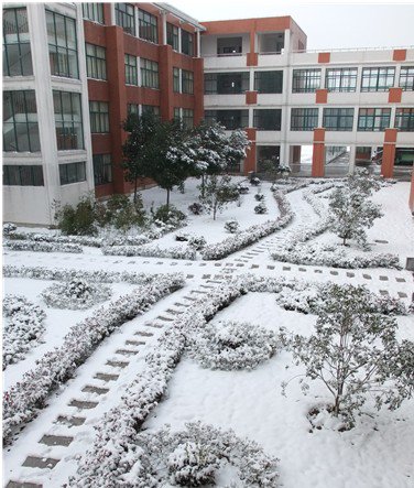 宁波市小港谢墅小学图片