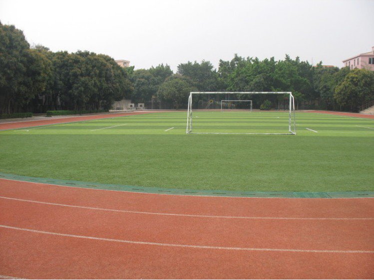 广州市番禺区沙墟第一小学(沙墟一小)图片