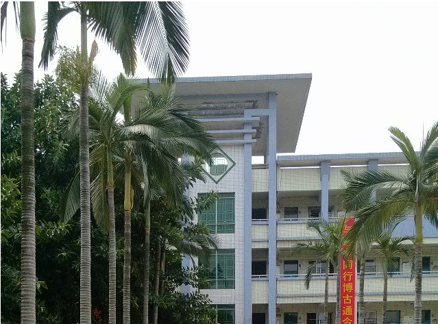 深圳市平湖中心小学图片