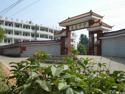 梅县龙虎中学图片