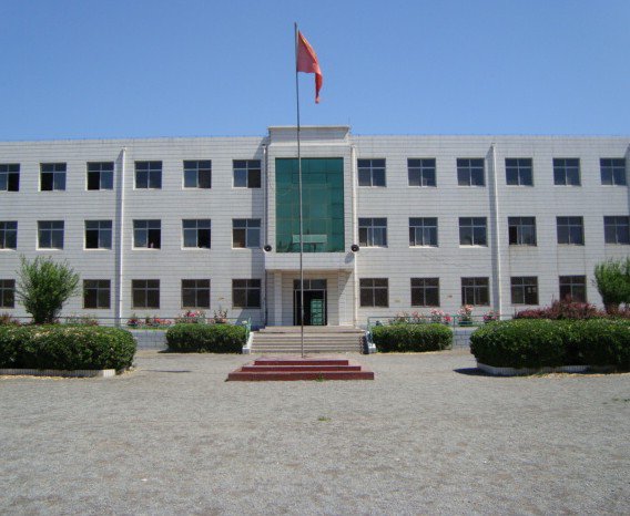天津市宝坻区高家庄镇第二中心小学图片