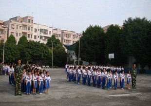 东莞市凤岗官井头小学图片