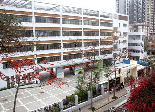 深圳市盐田区田心小学图片