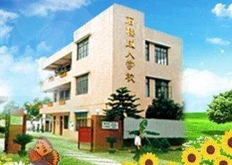 广州市番禺区石楼镇大岭小学图片