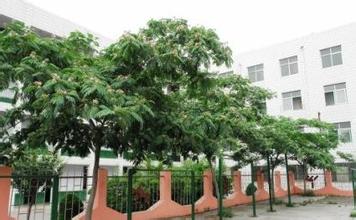 新泰市新汶中学图片