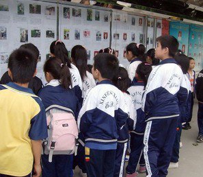 韶关市新丰县城第二小学（新丰二小）图片