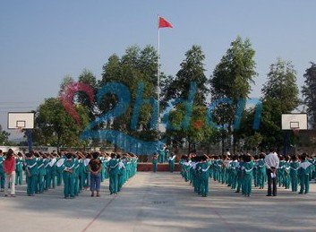 广州市花都区炭步镇鸭湖小学图片