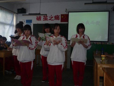 石家庄市第八十七中学图片