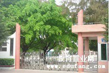 广州市南沙区万顷沙小学图片