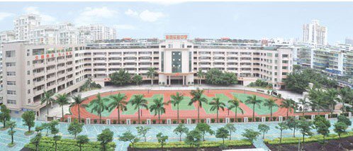 汕头市金园实验中学图片