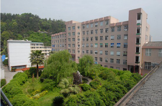 浙江省永嘉中学图片