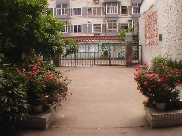 杭州市天水小学图片