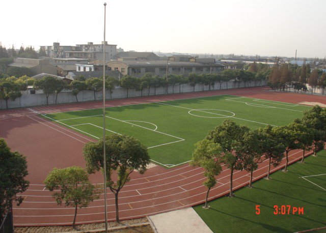 上海市嘉定区杨柳初级中学(原封浜中学初中部)图片