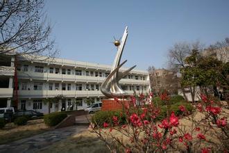 南京市共青团路中学（南京共中）图片