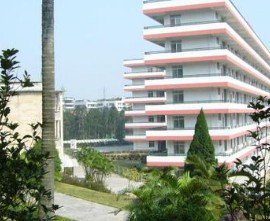 江门市新会葵城中学图片