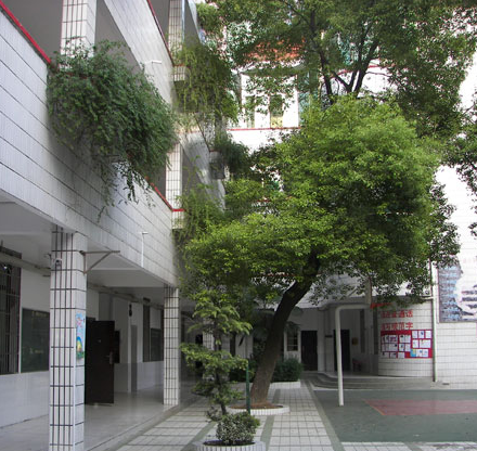 长沙市八一路小学图片