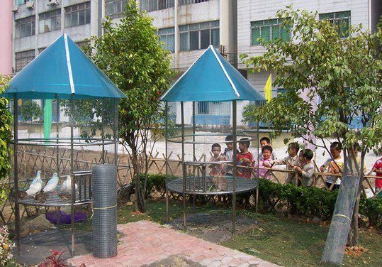 广州市南沙区金洲小学图片