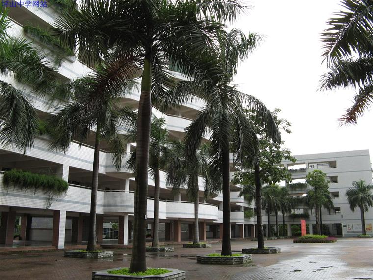 深圳市坪山中学图片