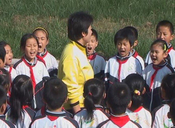 津南区北洋码头联合小学图片